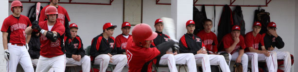 Baseball 2011